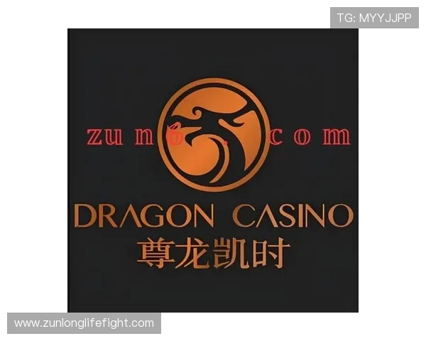 尊龙凯时网站游戏种类丰富，满足不同玩家的娱乐需求与多样化的游戏体验