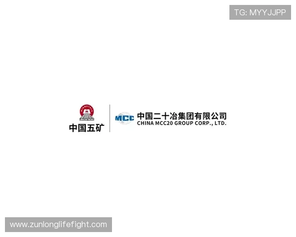 凯时尊龙网址导航大全,涵盖多种登录入口确保用户随时随地畅玩无忧